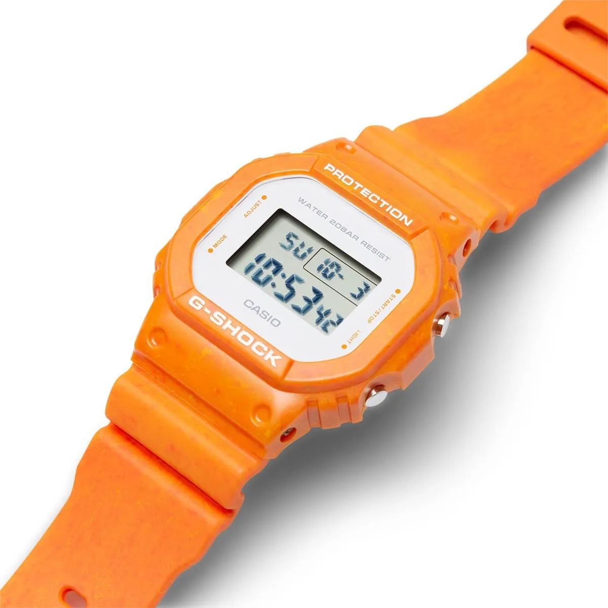 DW5600WS-4