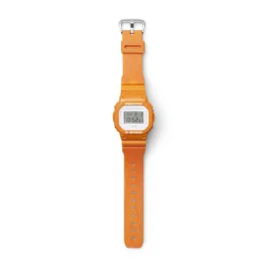 DW5600WS-4