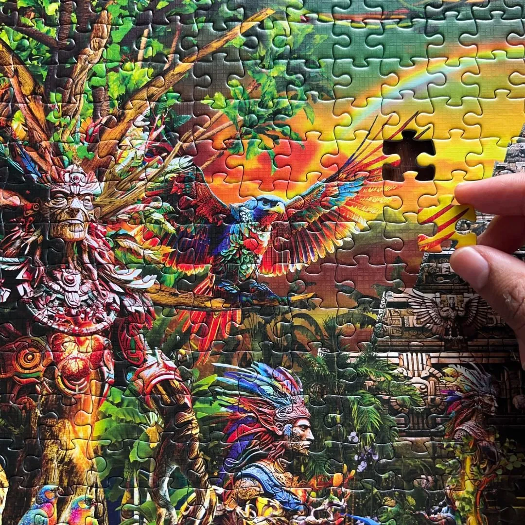 FLIPSI PLUS: All Three Enchanted Places & Flipsi Board