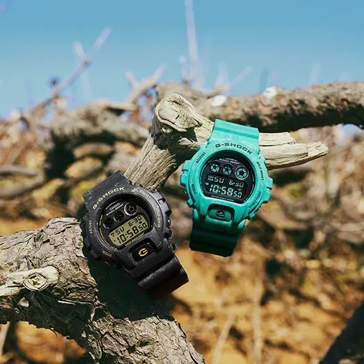 Hidden Coast Series - DW6900WS-1D