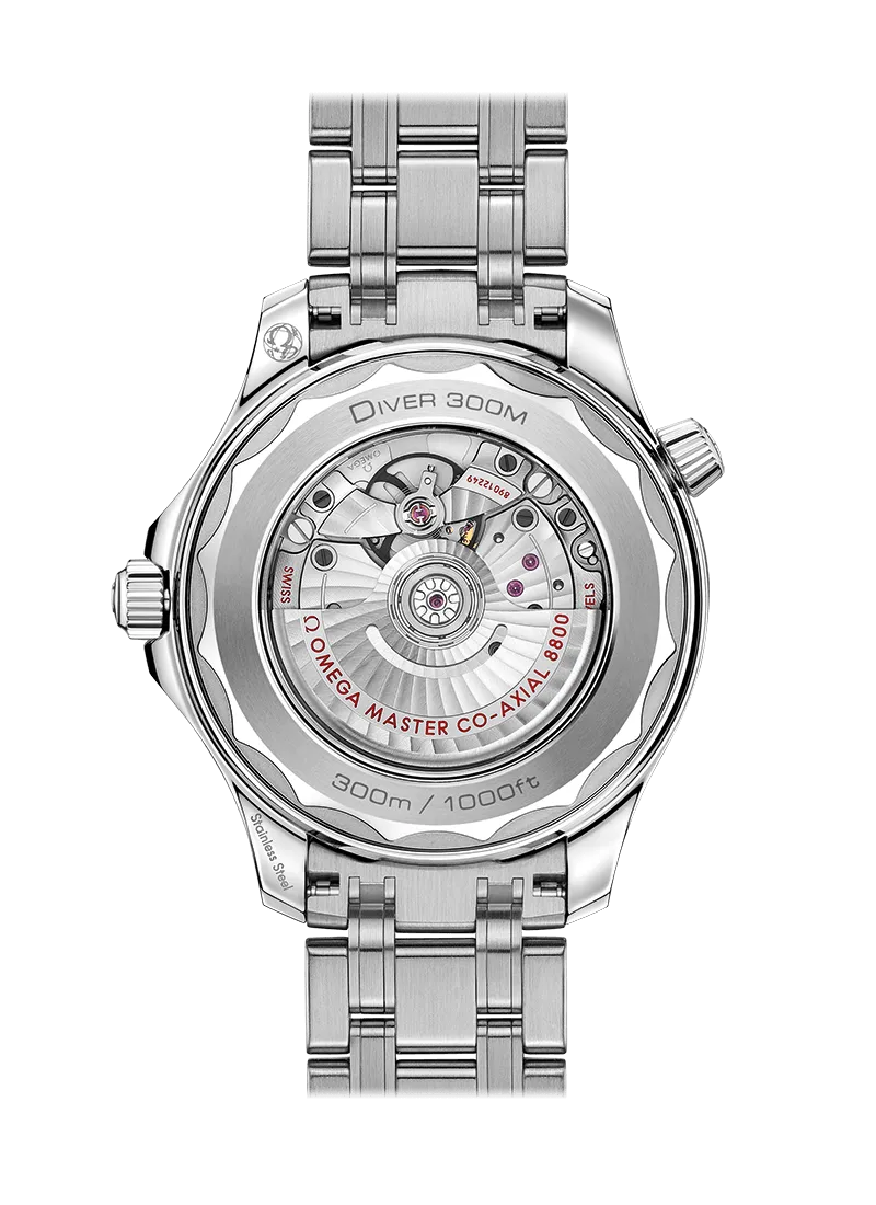 Omega Seamaster Diver 300M Co‑Axial Master Chronometer 42mm Steel on Steel 210.30.42.20.01.001