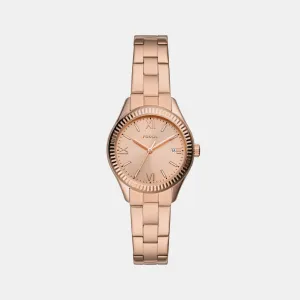 Women's Rose Gold Analog Stainless Steel Watch BQ3639